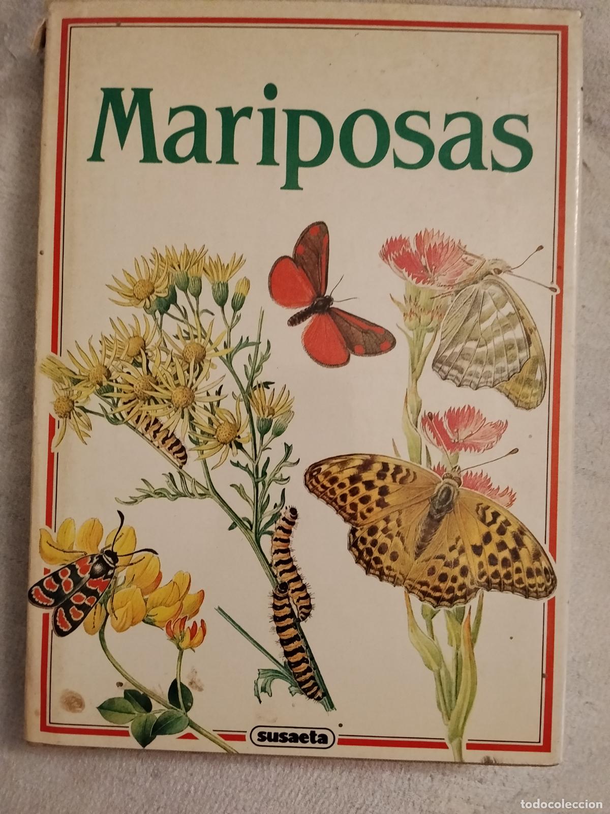 Libros: MARIPOSAS - EDITORIAL SUSAETA - Foto 4