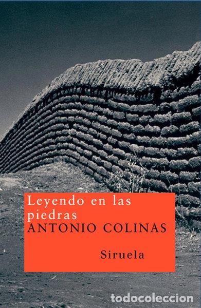 Livres: Leyendo en las piedras- 9788478442348