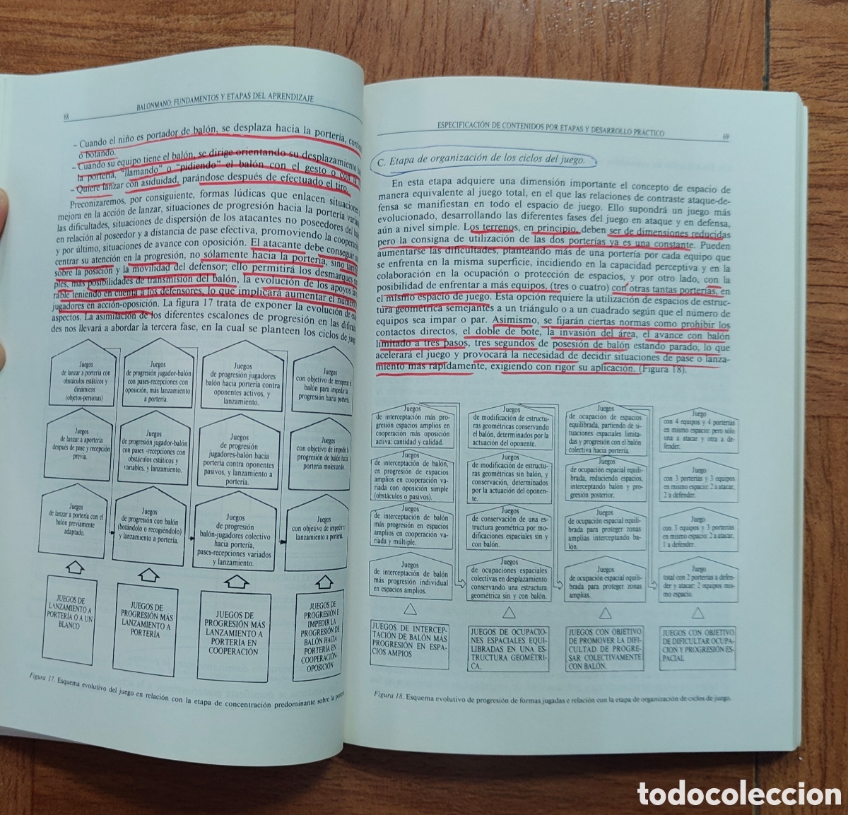 Libros: Balonmano: Fundamentos y Etapas de Aprendizaje - VV. AA. - Foto 5