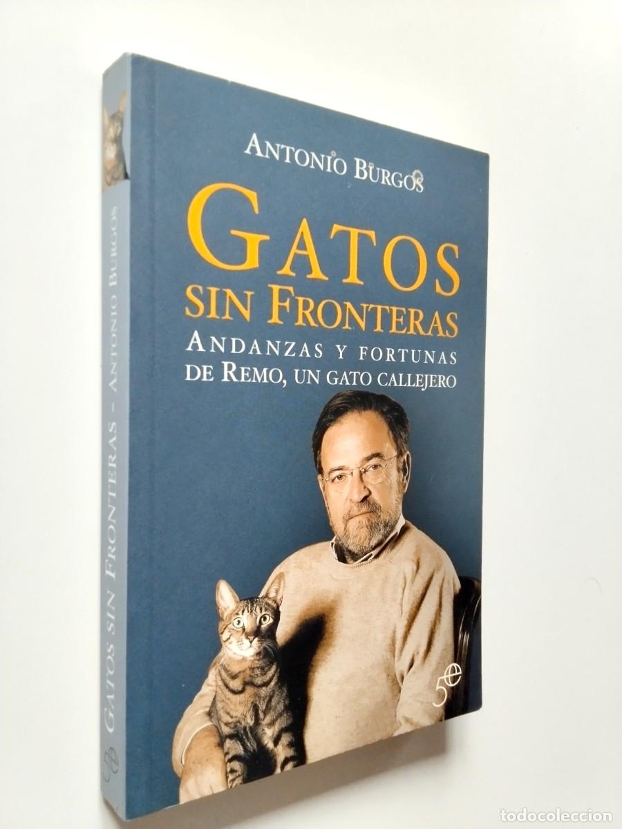 Libros: Antonio Burgos - Gatos sin fronteras. Andanzas y fortunas de Remo, un gato callejero