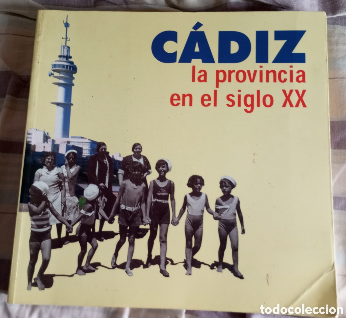 Libros: C&aacute;diz la provincia En el siglo XX.ramos Santana Diputaci&oacute;n de C&aacute;diz 413 p&aacute;ginas a&ntilde;o 2000