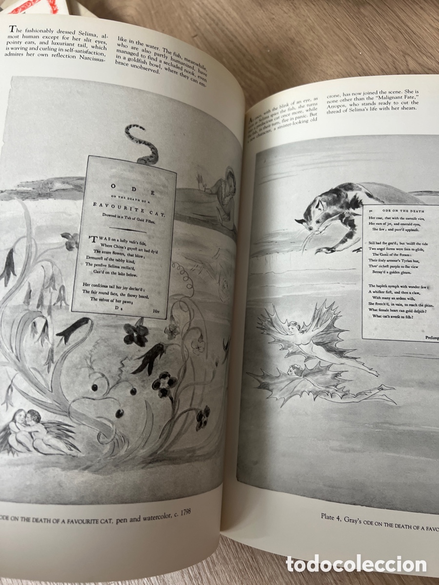 Libros: LIBRO WILLIAM BLAKE THE SEER AND HIS VISION - MILTON KLONSKY - Foto 2
