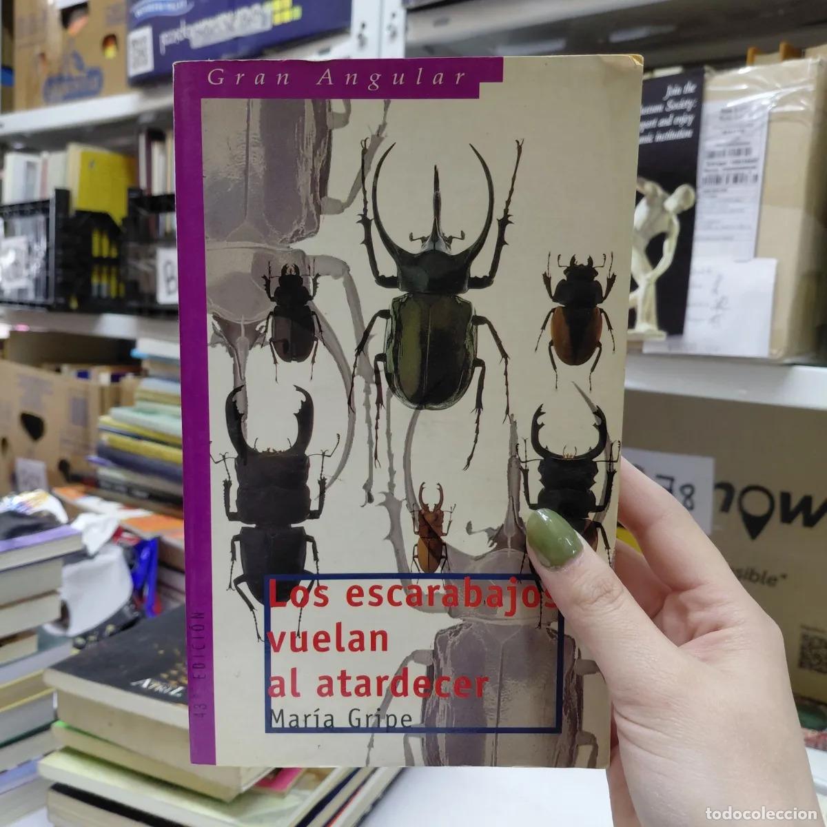 books: Los escarabajos vuelan al atardecer (det.) - Gripe