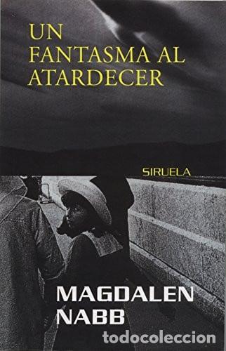 Libros: Un fantasma al atardecer