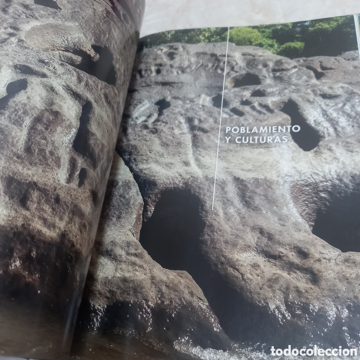 Libros: Libro Grande De Lujo escudo guayanes colombia - Foto 4