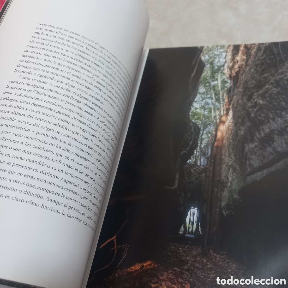 Libros: Libro Grande De Lujo escudo guayanes colombia - Foto 5