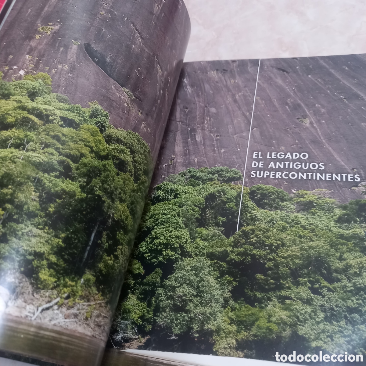 Libros: Libro Grande De Lujo escudo guayanes colombia - Foto 6
