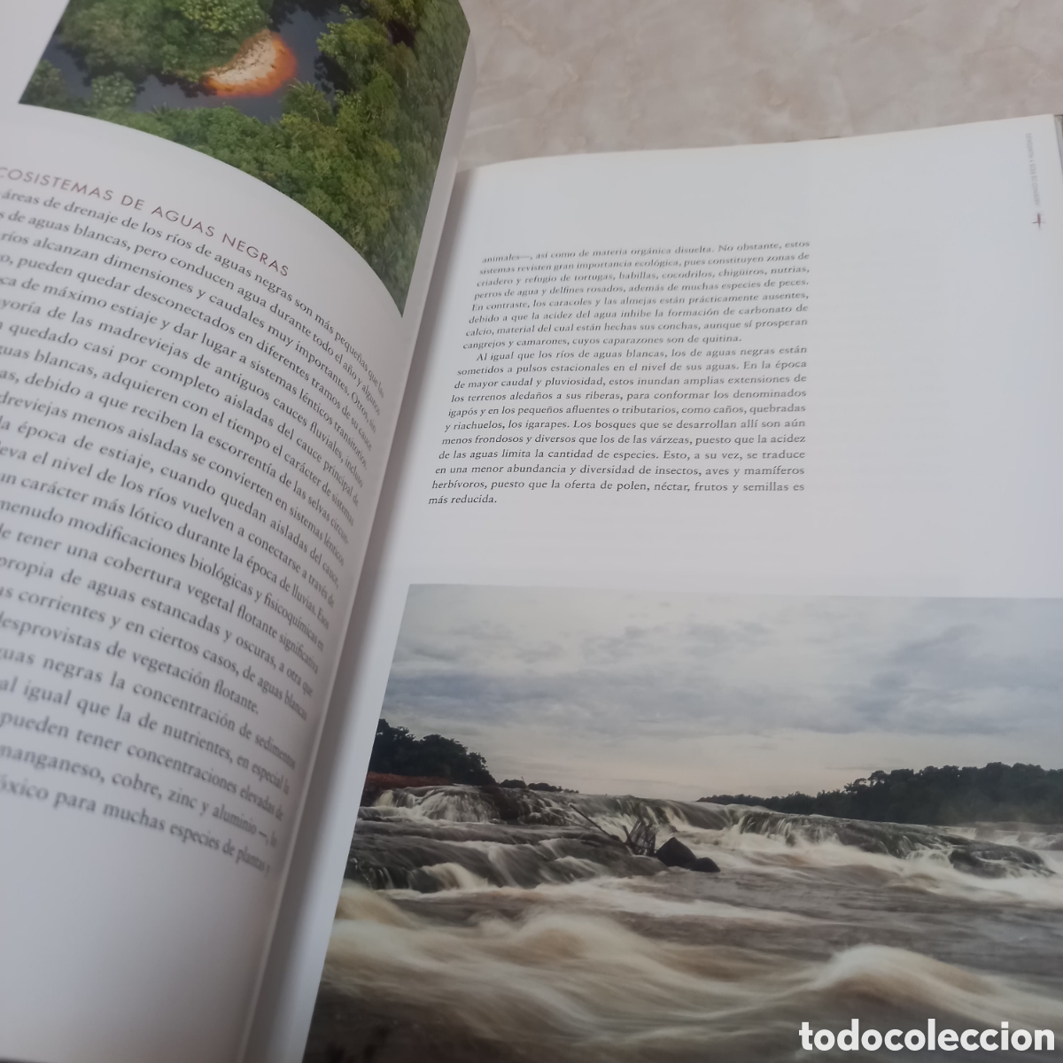 Libros: Libro Grande De Lujo escudo guayanes colombia - Foto 7