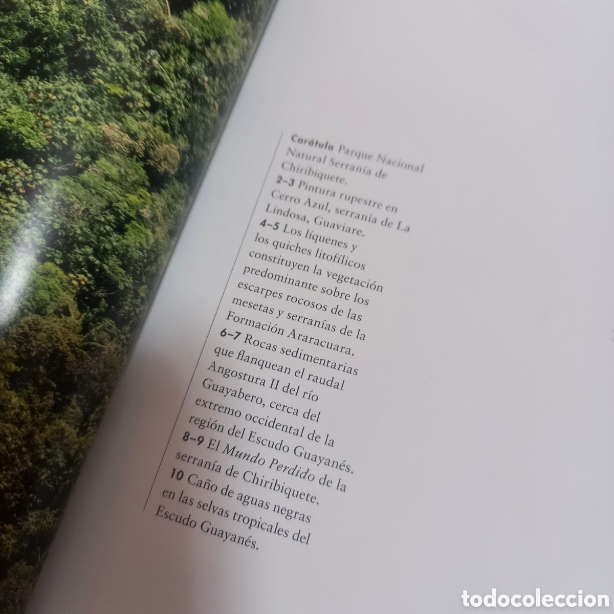 Libros: Libro Grande De Lujo escudo guayanes colombia - Foto 17