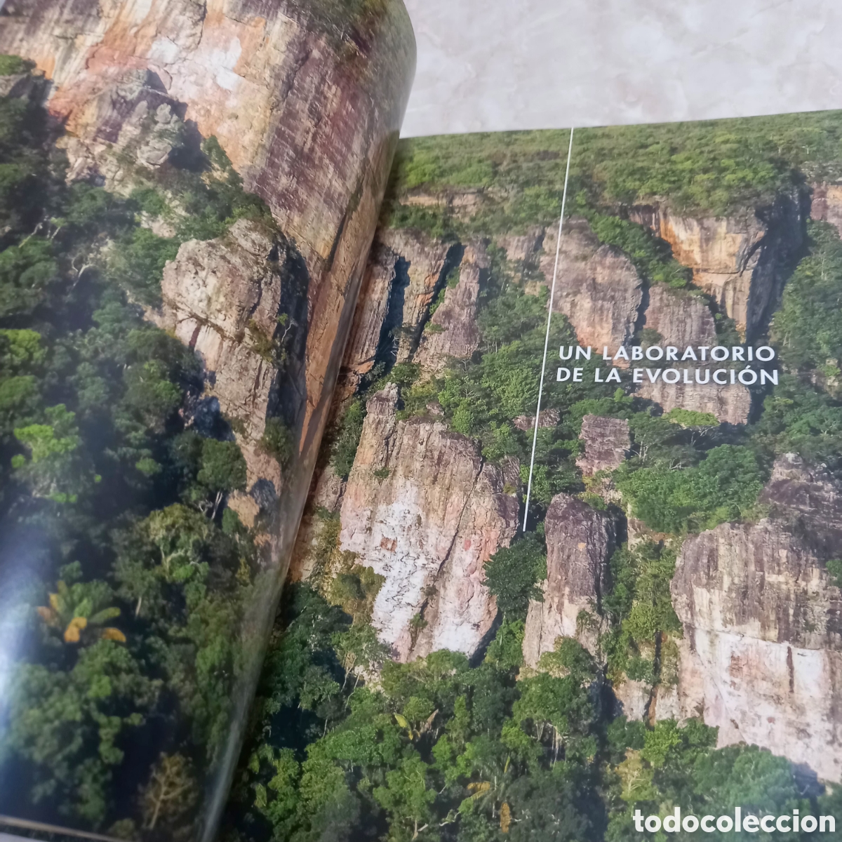 Libros: Libro Grande De Lujo escudo guayanes colombia - Foto 18