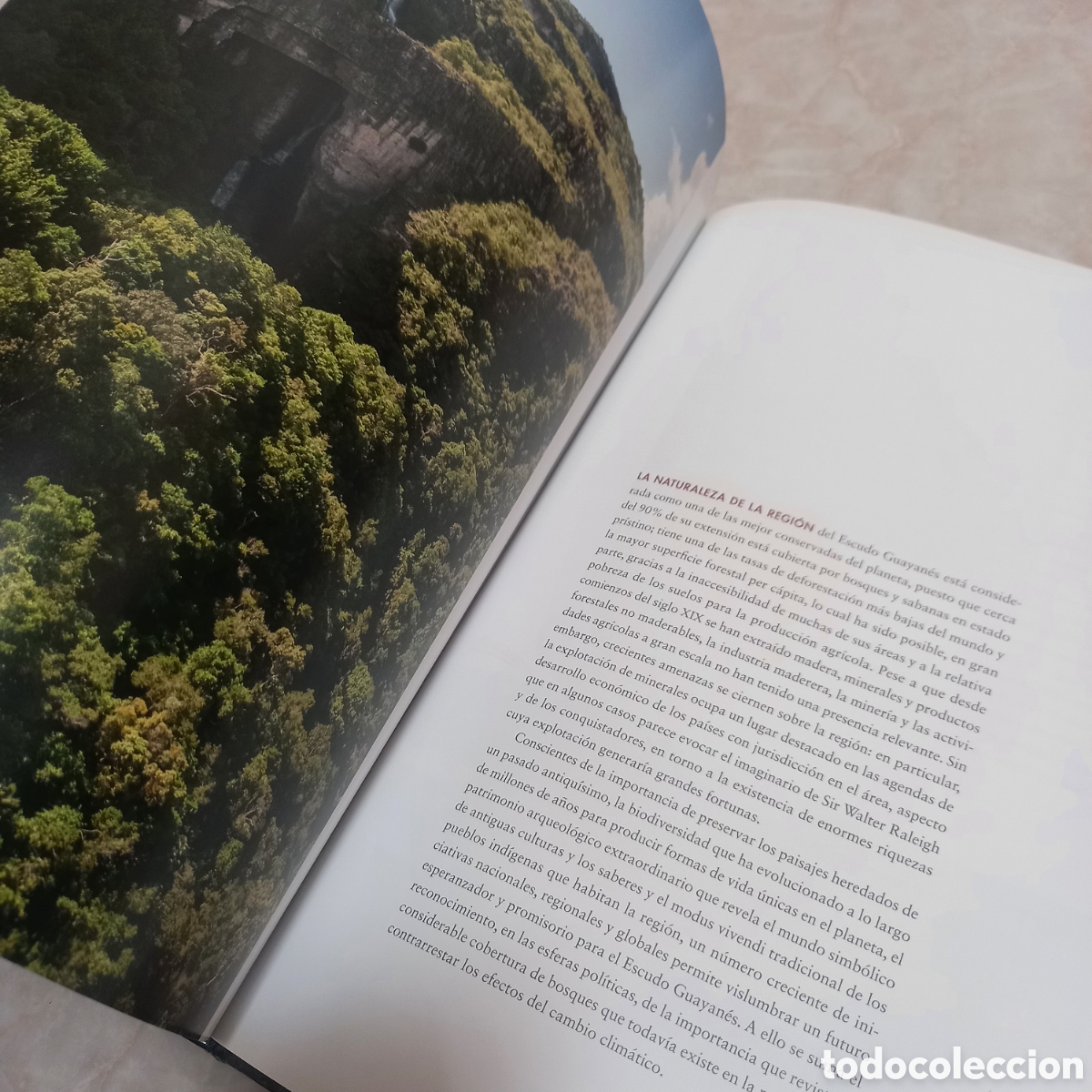 Libros: Libro Grande De Lujo escudo guayanes colombia - Foto 19