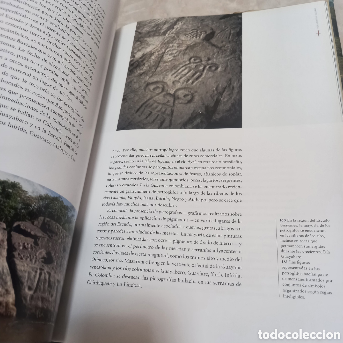 Libros: Libro Grande De Lujo escudo guayanes colombia - Foto 20