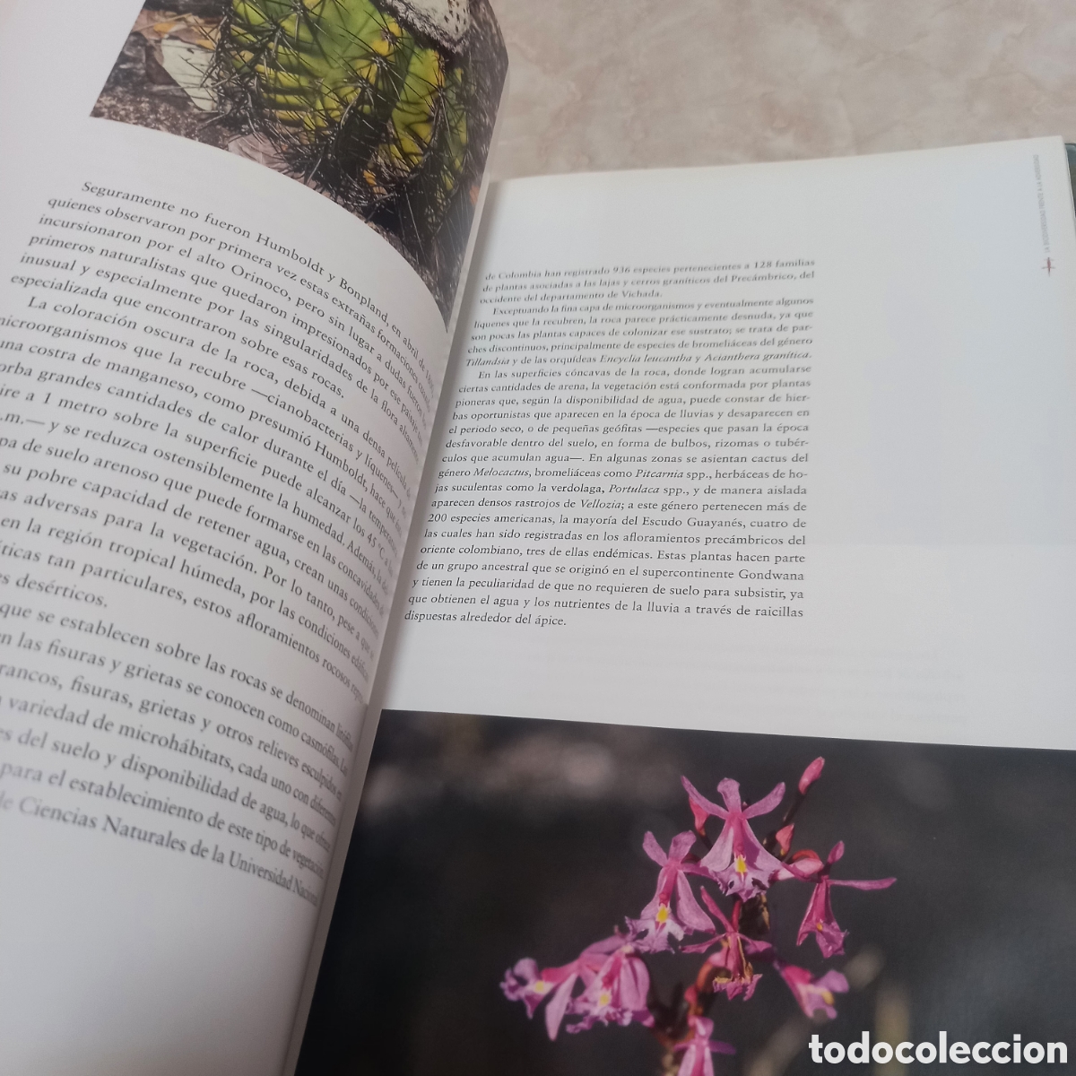 Libros: Libro Grande De Lujo escudo guayanes colombia - Foto 21
