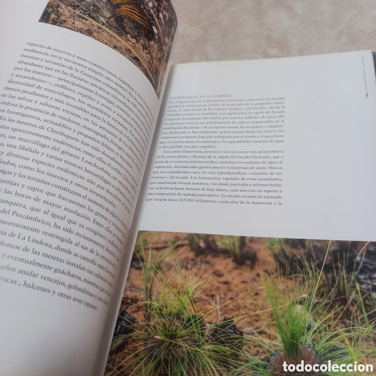 Libros: Libro Grande De Lujo escudo guayanes colombia - Foto 23