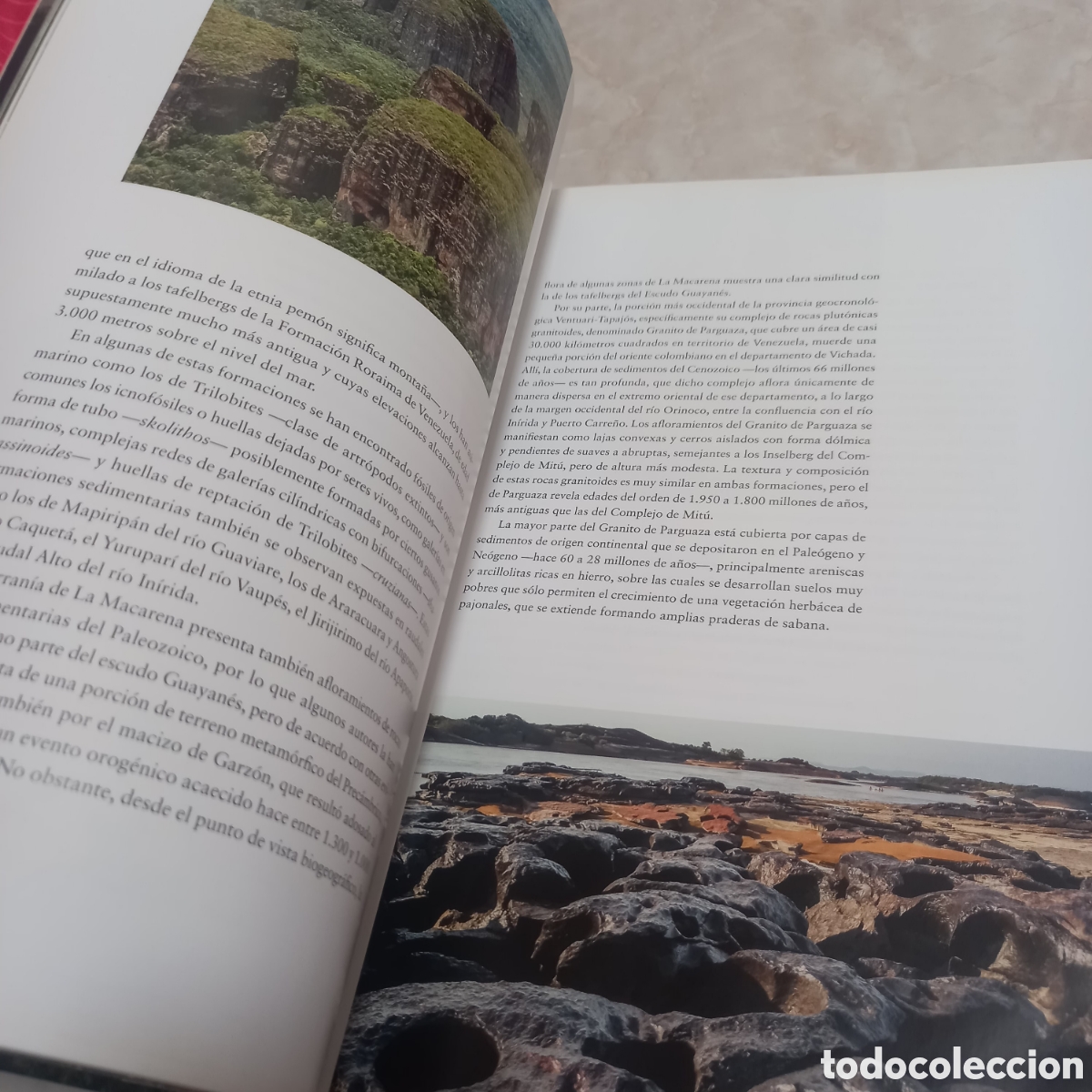 Libros: Libro Grande De Lujo escudo guayanes colombia