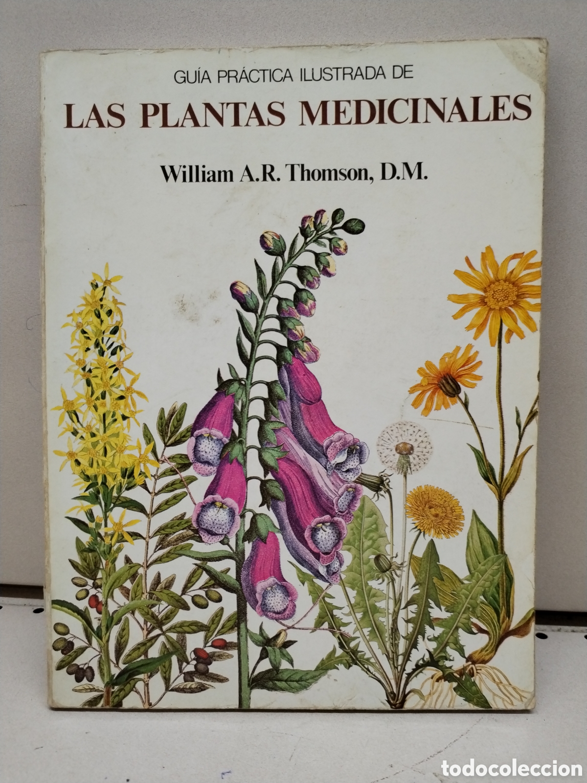Libros: Gu&iacute;a pr&aacute;ctica ilustrada de las plantas medicinales - Thomson, William A. R. - Foto 1