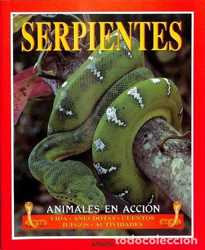 Livros em segunda m&atilde;o: Serpientes: Animales en acci&oacute;n- 9788420743240
