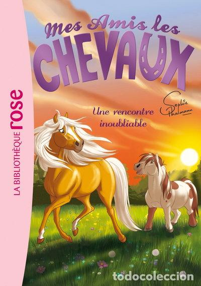 Libros: Une rencontre inoubliable- 9782012045385 - Foto 1