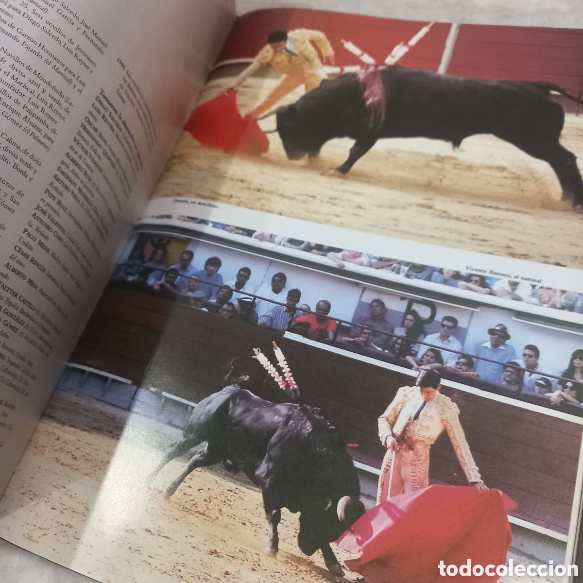 Libros: Libro de tauromaquia toros - Foto 15