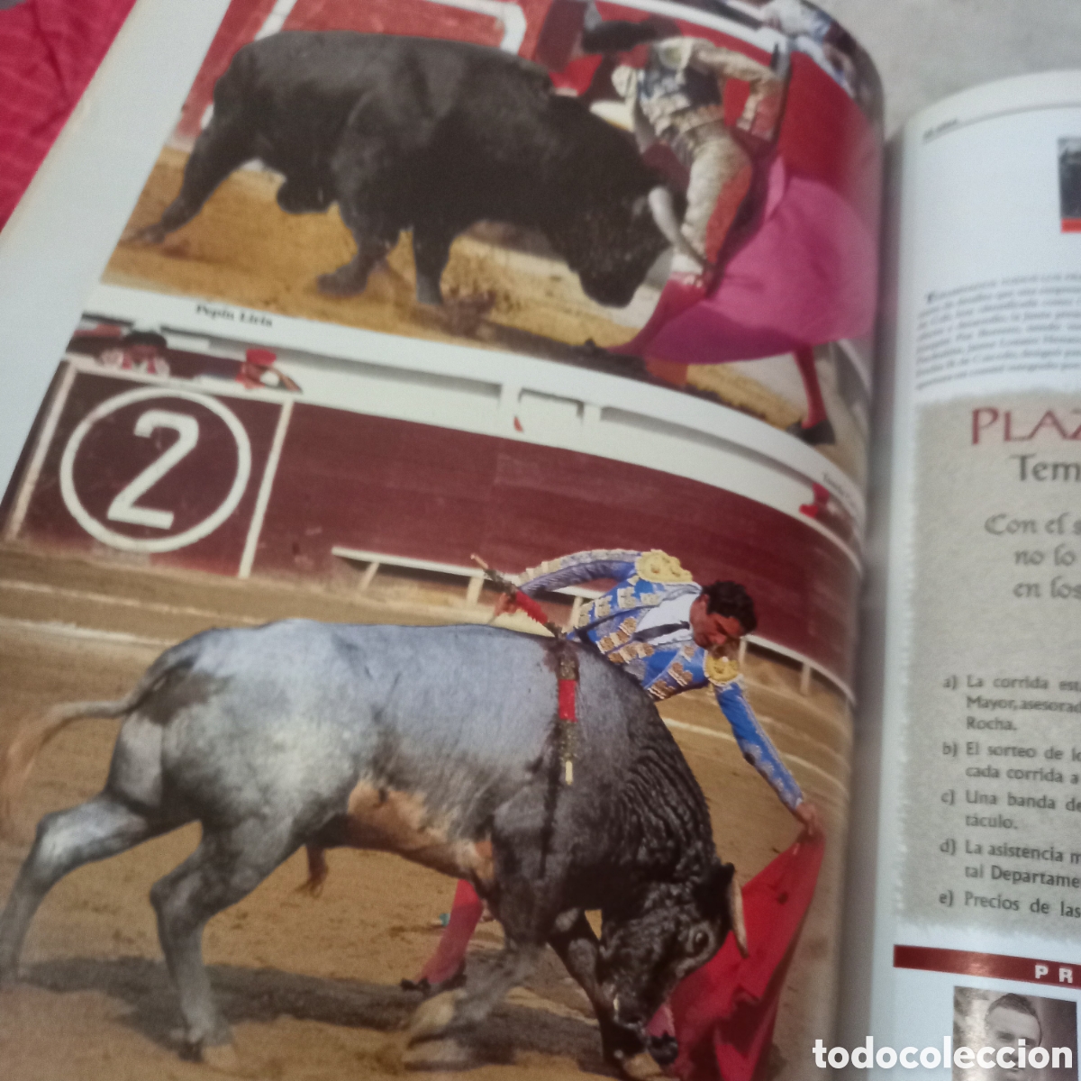 Libros: Libro de tauromaquia toros - Foto 19