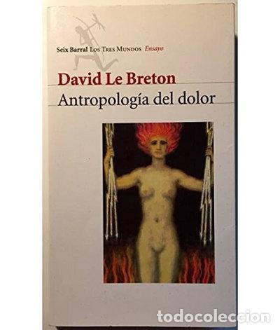 Libros: Antropolog&iacute;a del dolor- 9788432208331 - Foto 1