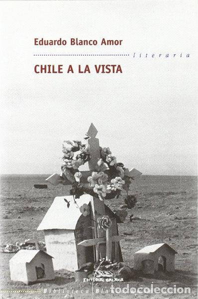 Libros: Chile a la vista- 9788482886107 - Foto 1