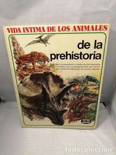 Livres: Vida &iacute;ntima de los animales de la prehistoria- 9788432124846