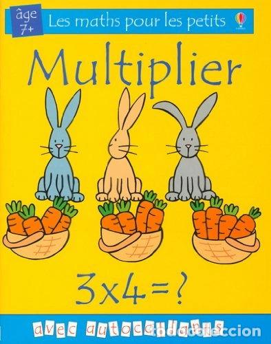 Libros: Multiplier- 9780746049396 - Foto 1