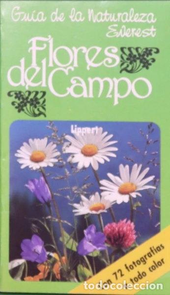 Libros: Flores del campo- 9788424126445
