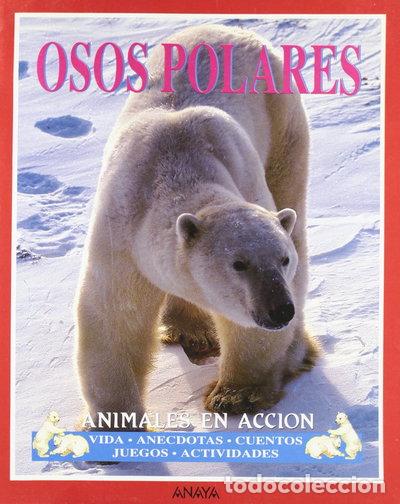 Libri di seconda mano: Osos Polares- 9788420743226