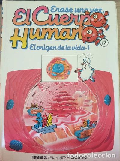 Livres: &Eacute;rase una vez el cuerpo humano, Tomo 17: El origen de la vida I- 9788477121268