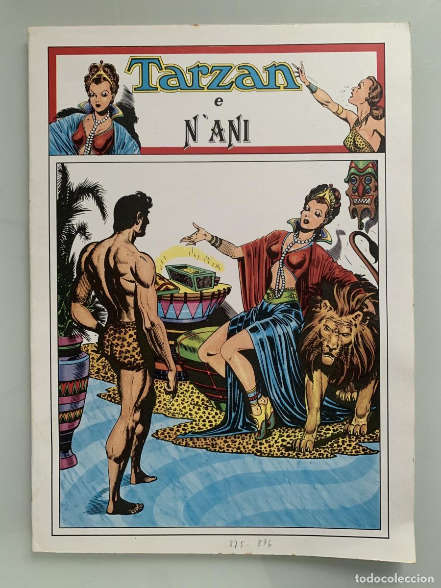 Libros: TARZ&Aacute;N. E NANI - Edgar Rice Burroughs - Foto 1
