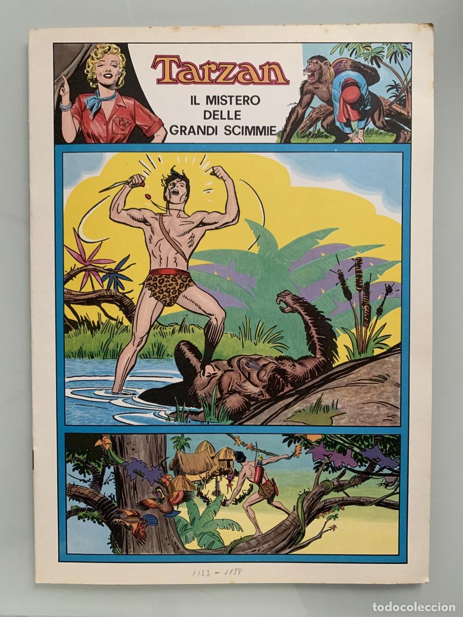 Libros: TARZ&Aacute;N IL MISTERO DELLE GRANDE SCIMMIE - Edgar Rice Burroughs