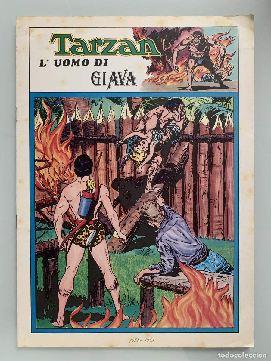 Libros: TARZ&Aacute;N L'UOMO DI GIAVA - Edgar Rice Burroughs