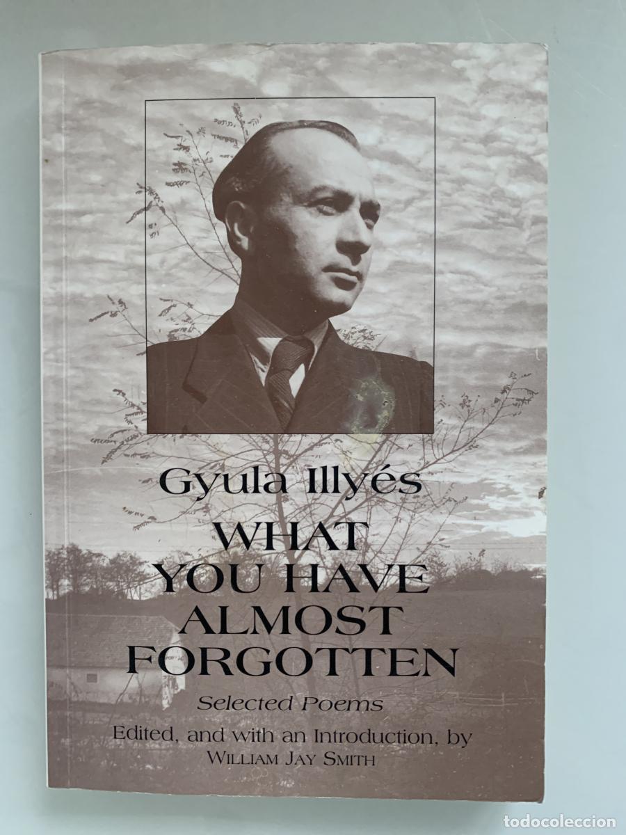 books: WHAT YOU HAVE ALMOST FORGOTTEN. Selected poems - Gyula Illy&eacute;s