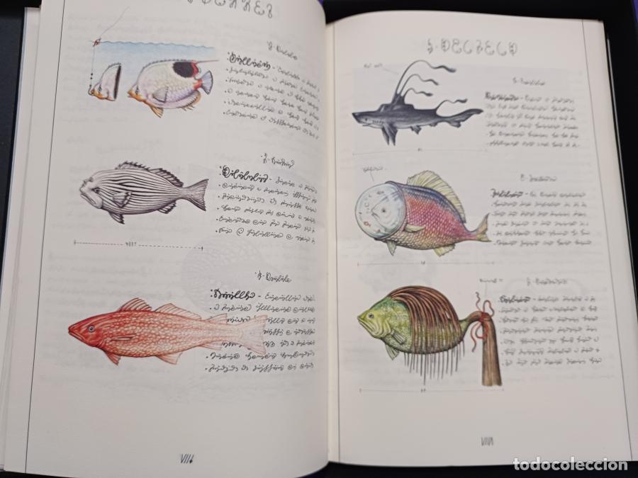 Libros: Codex Seraphinianus - Serafini, Luigi - Italo Calvino - Foto 10