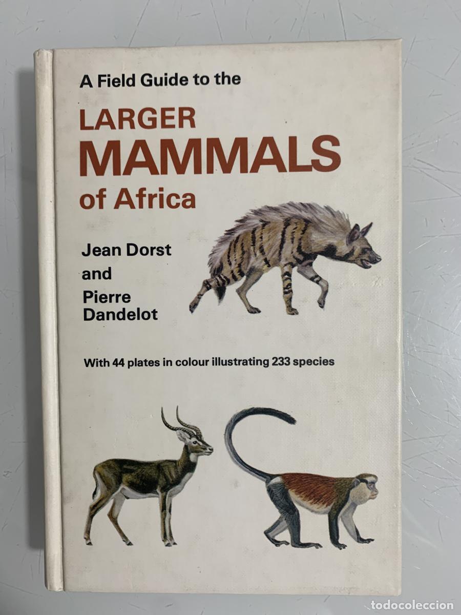 Libros: A FIELD GUIDE TO THE LARGER MAMMALS OF &Aacute;FRICA - Jean Dorst and Pierre Dandelot