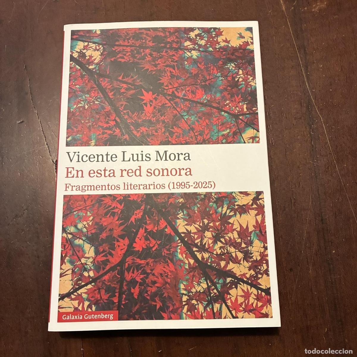 Libros: En esta red sonora - Vicente Luis Mora