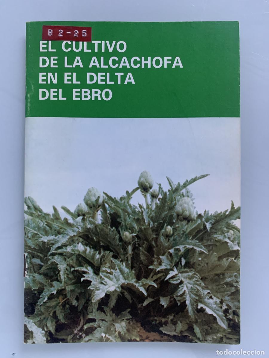 Libros: EL CULTIVO DE LA ALCACHOFA EN EL DELTA DEL EBRO - VVAA - Foto 1
