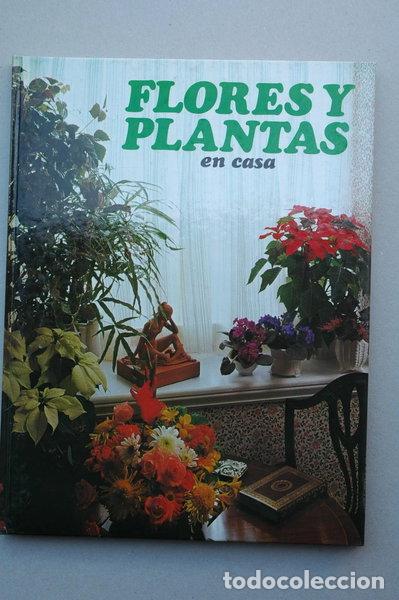 B&uuml;cher: Flores y plantas en casa- 9788485123674