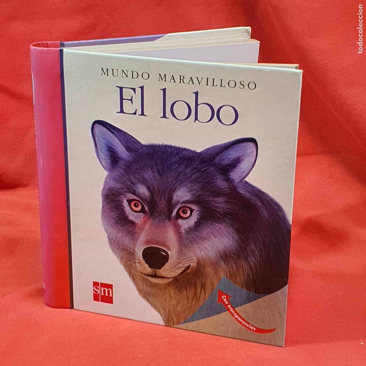 Libros: LIBRO-EL LOBO-MUNDO MARAVILLOSO-SM-9/10-1&ordf;EDICI&Oacute;N-2009.VER FOTOGRAF&Iacute;AS-COLECCIONISTAS.