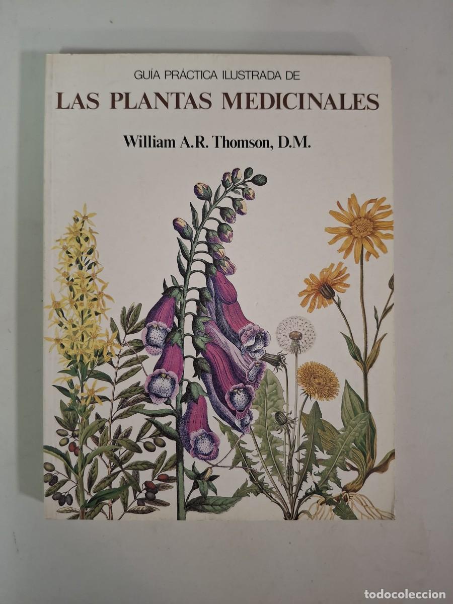 Libros: LIBRO GU&Iacute;A PRACTICA ILUSTRADA DE LAS PLANTAS MEDICINALES - Foto 1