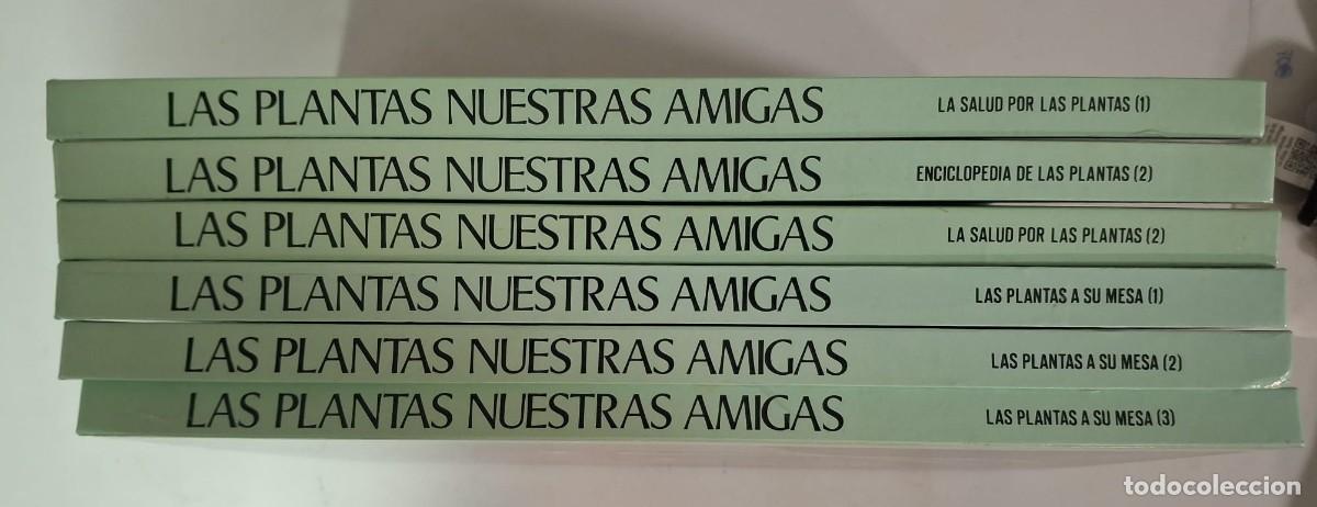 Libros: LIBRO LAS PLANTAS NUESTRAS AMIGAS - Foto 1