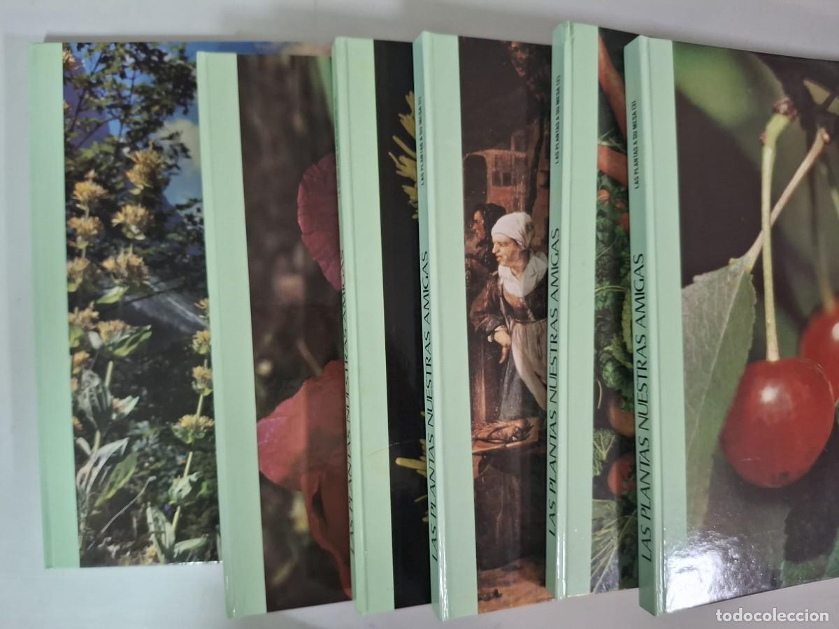 Libros: LIBRO LAS PLANTAS NUESTRAS AMIGAS - Foto 2