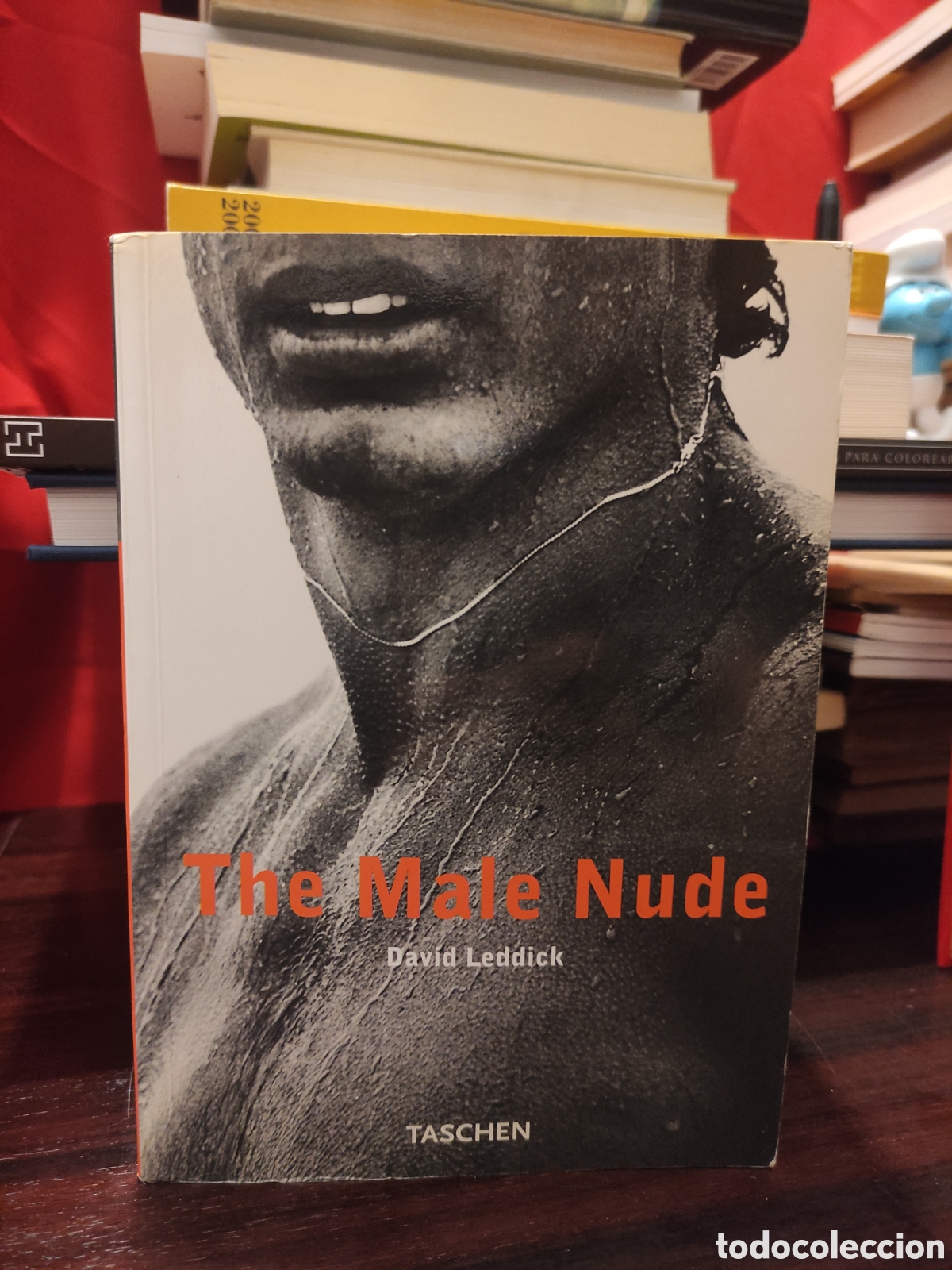 B&uuml;cher: The Male Nude - David Leddick