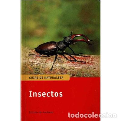 Libros: Insectos- 9788422698869 - Foto 1