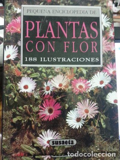 Livros em segunda m&atilde;o: Plantas con flor- 9788430574940