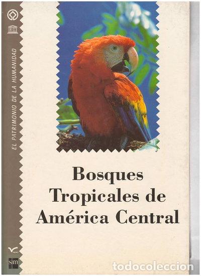Libri di seconda mano: Bosques tropicales de Am&eacute;rica Central- 9788434832862