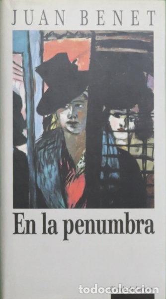 Libros: En la penumbra- 9788422630838 - Foto 1