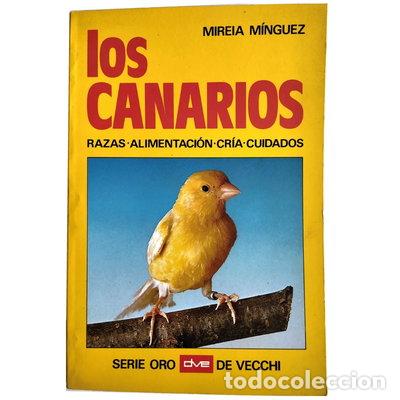 Libri di seconda mano: Los canarios- 9788431504472